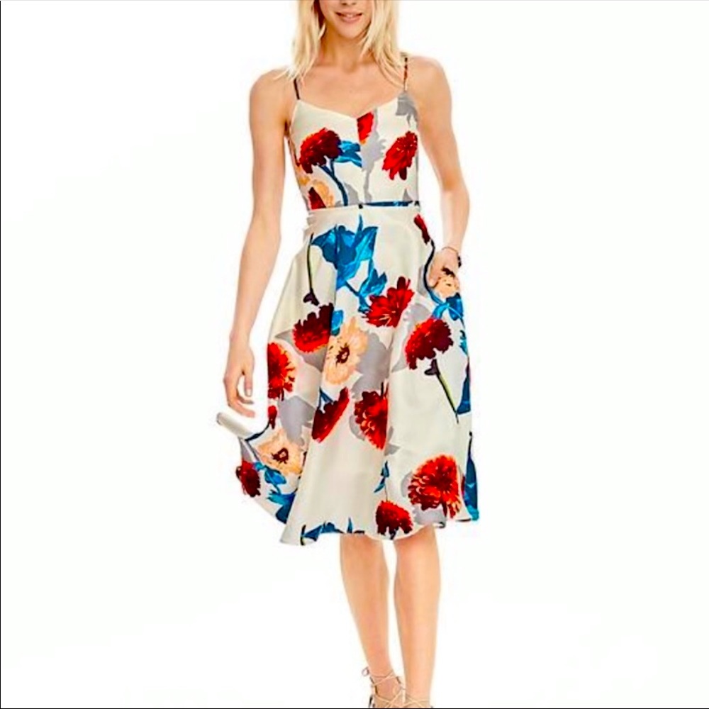 NWT $168 Banana Republic Fit and Flare Floral Dress